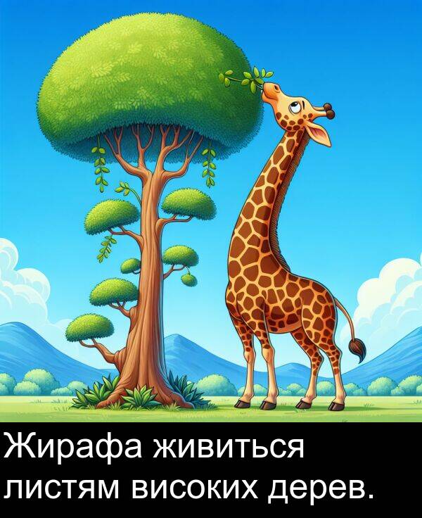 живиться: Жирафа живиться листям високих дерев.
