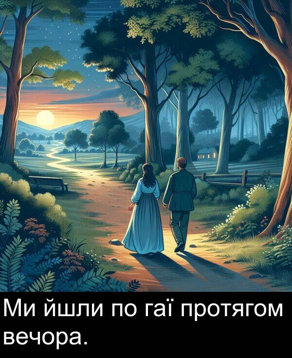 гаї: Ми йшли по гаї протягом вечора.