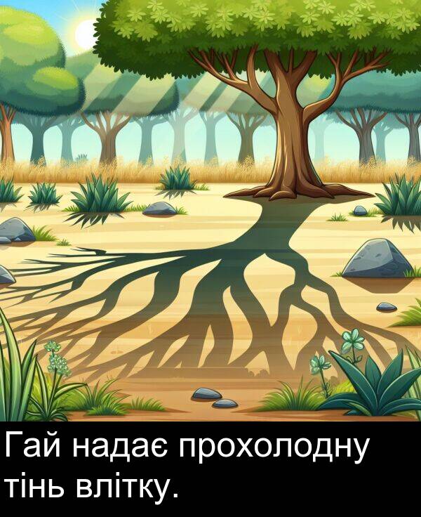тінь: Гай надає прохолодну тінь влітку.