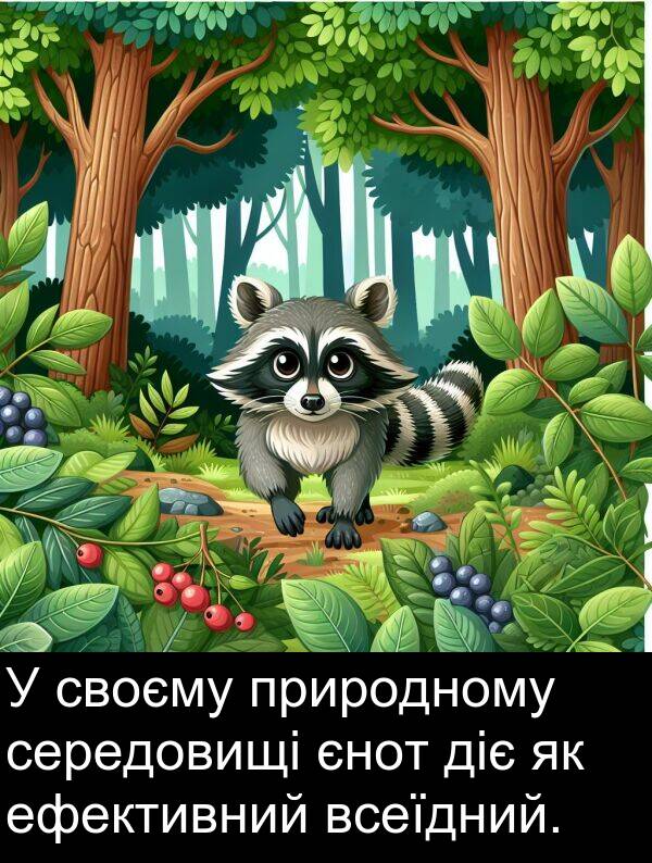 середовищі: У своєму природному середовищі єнот діє як ефективний всеїдний.