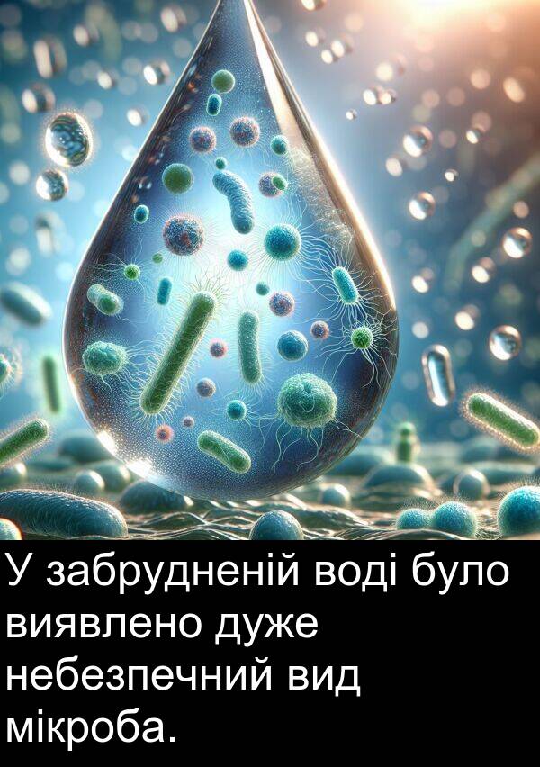 мікроба: У забрудненій воді було виявлено дуже небезпечний вид мікроба.