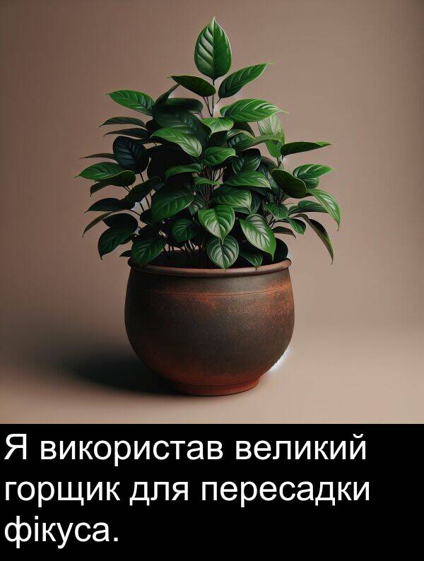 великий: Я використав великий горщик для пересадки фікуса.