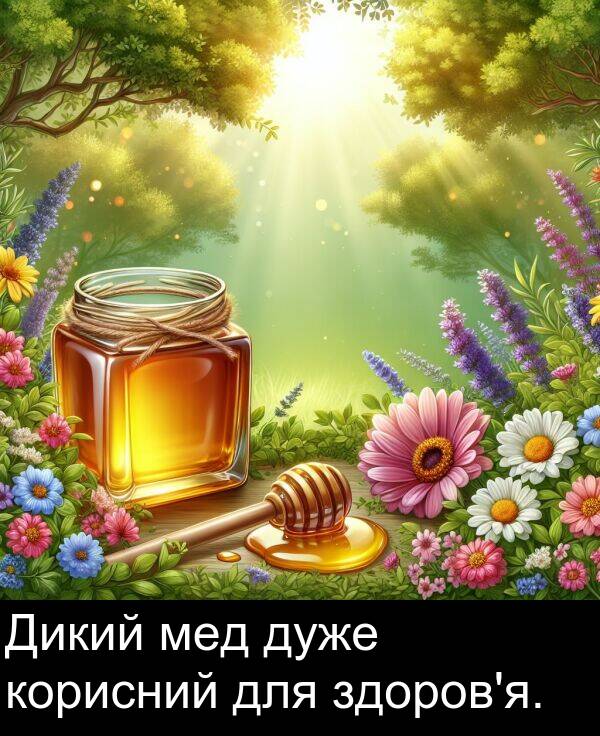 мед: Дикий мед дуже корисний для здоров'я.