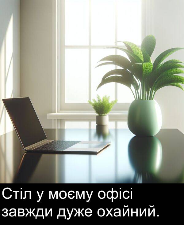 офісі: Стіл у моєму офісі завжди дуже охайний.