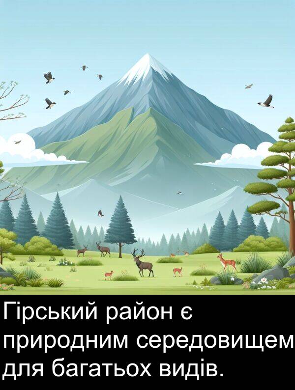 багатьох: Гірський район є природним середовищем для багатьох видів.