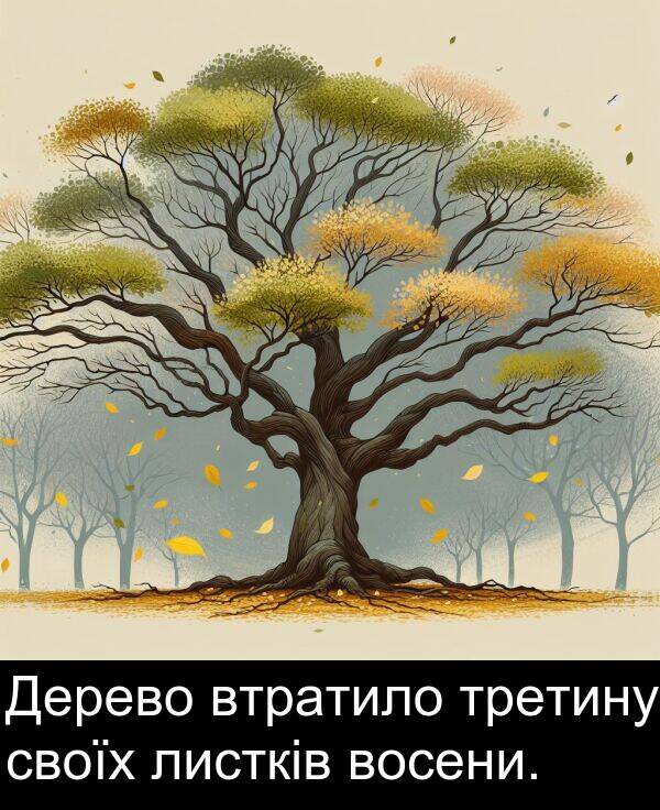 своїх: Дерево втратило третину своїх листків восени.