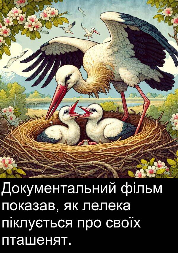 фільм: Документальний фільм показав, як лелека піклується про своїх пташенят.