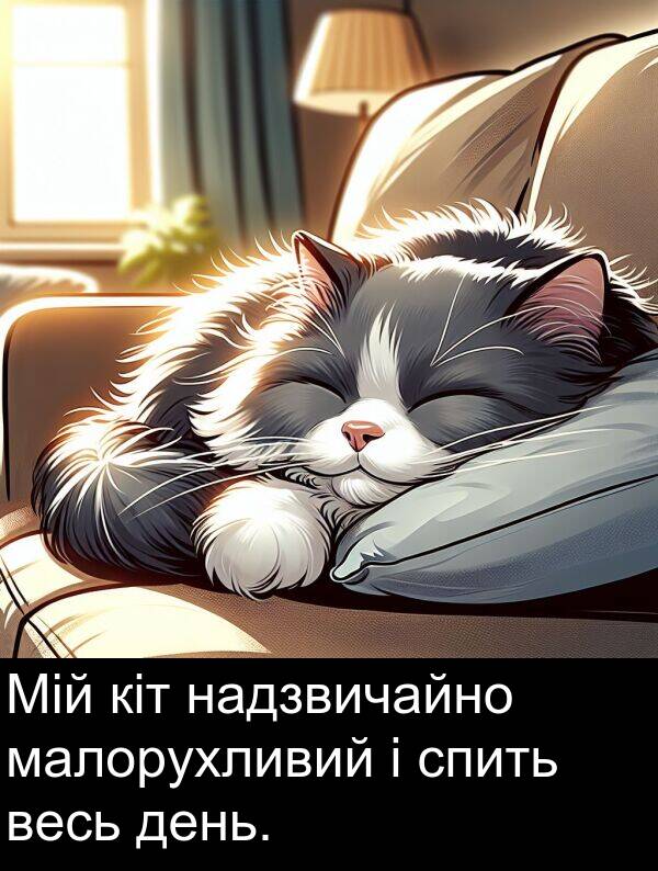 малорухливий: Мій кіт надзвичайно малорухливий і спить весь день.