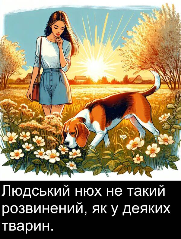 розвинений: Людський нюх не такий розвинений, як у деяких тварин.