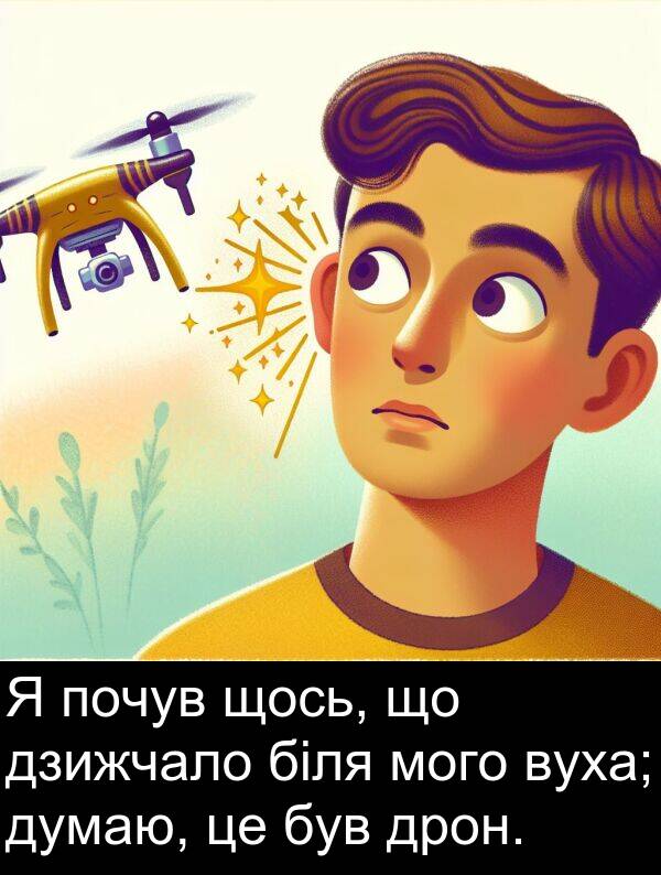 дзижчало: Я почув щось, що дзижчало біля мого вуха; думаю, це був дрон.
