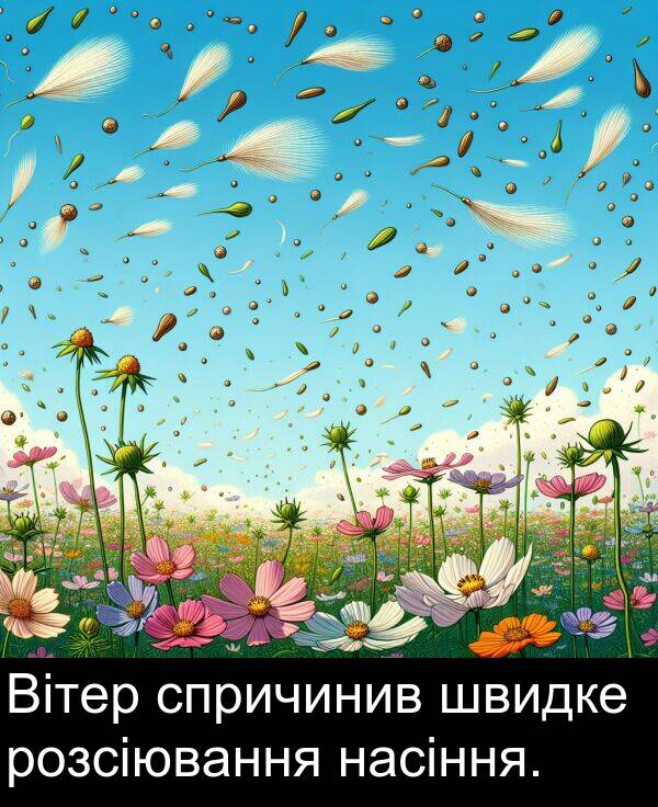 швидке: Вітер спричинив швидке розсіювання насіння.