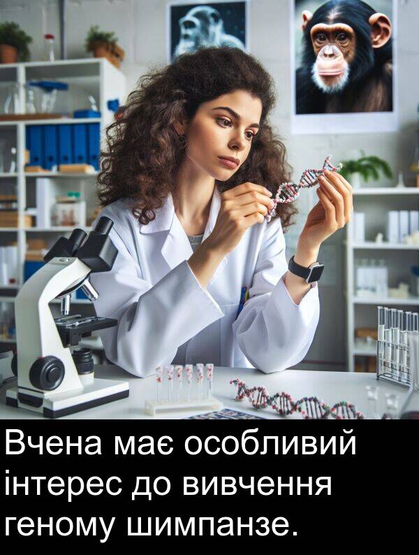шимпанзе: Вчена має особливий інтерес до вивчення геному шимпанзе.
