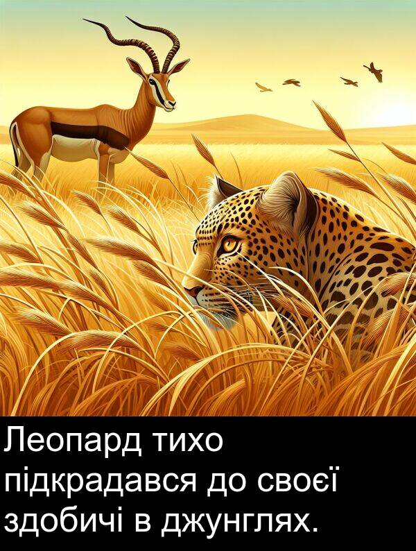 своєї: Леопард тихо підкрадався до своєї здобичі в джунглях.