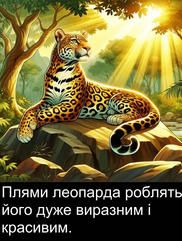 леопарда: Плями леопарда роблять його дуже виразним і красивим.
