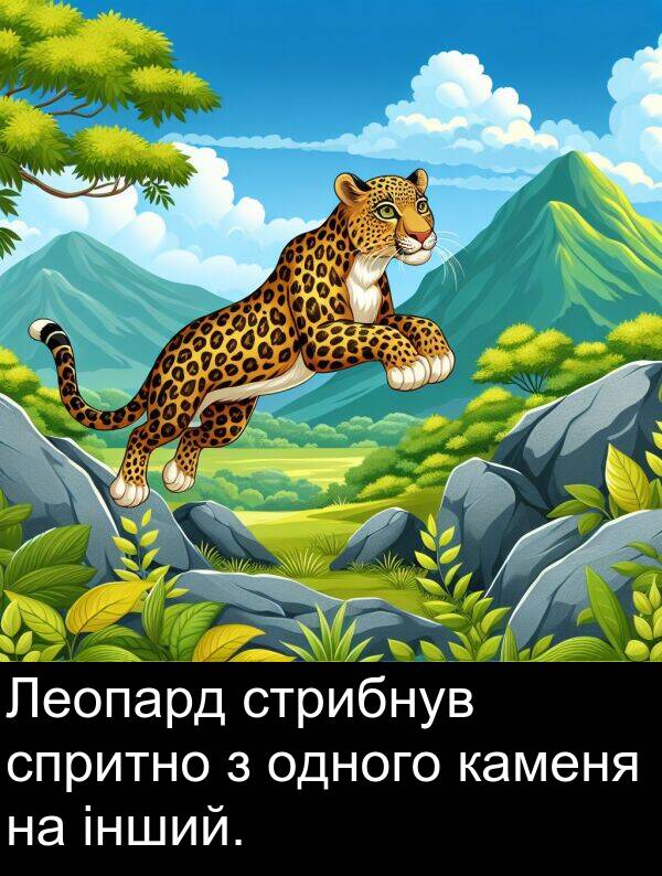 одного: Леопард стрибнув спритно з одного каменя на інший.