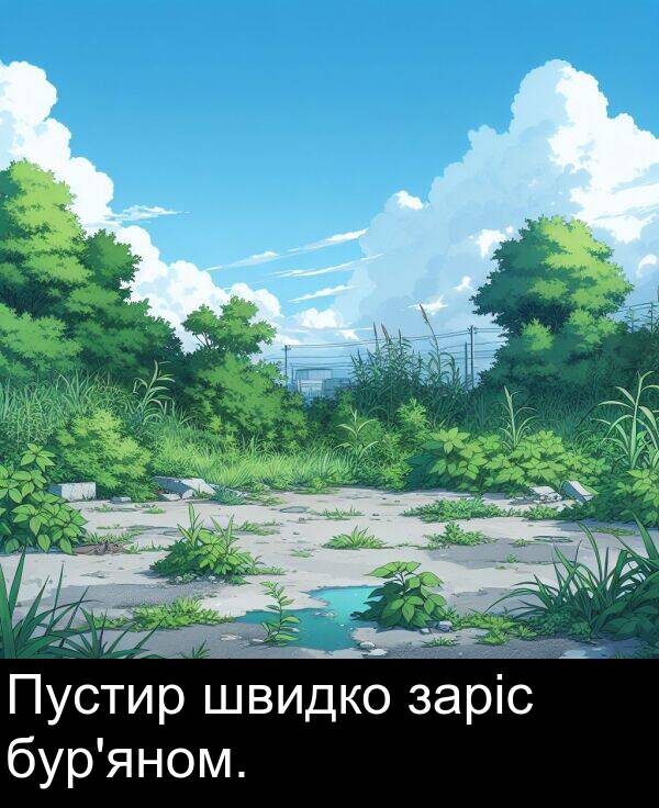 заріс: Пустир швидко заріс бур'яном.