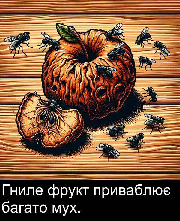 багато: Гниле фрукт приваблює багато мух.