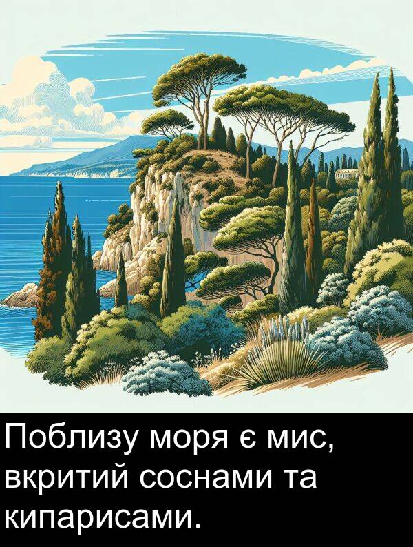 кипарисами: Поблизу моря є мис, вкритий соснами та кипарисами.