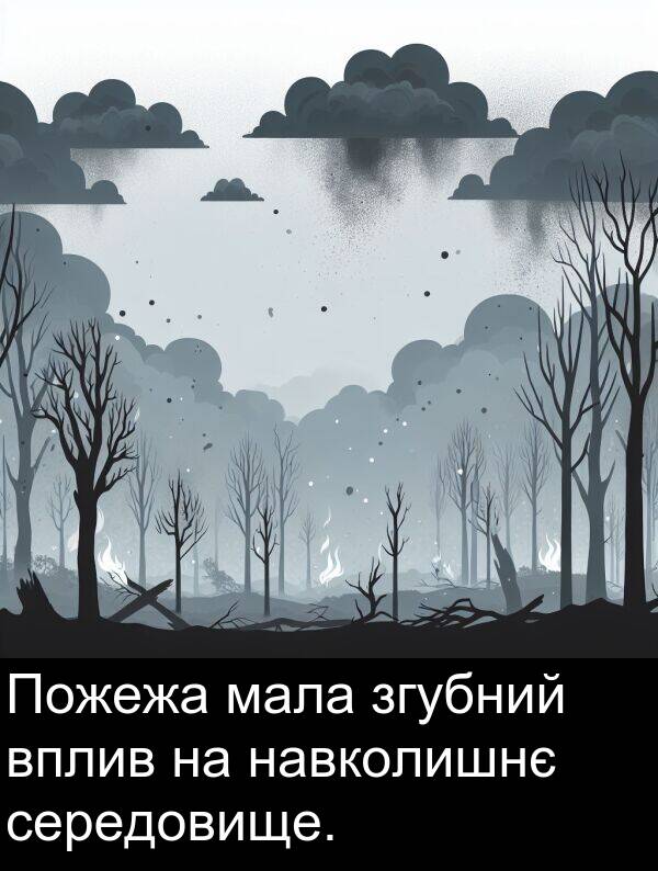 мала: Пожежа мала згубний вплив на навколишнє середовище.