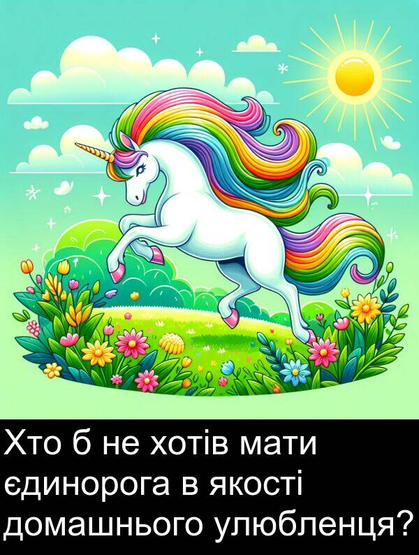 улюбленця: Хто б не хотів мати єдинорога в якості домашнього улюбленця?