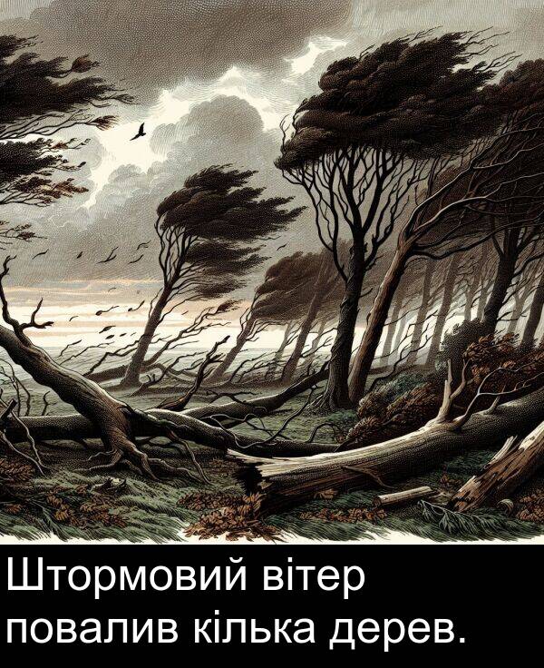 вітер: Штормовий вітер повалив кілька дерев.