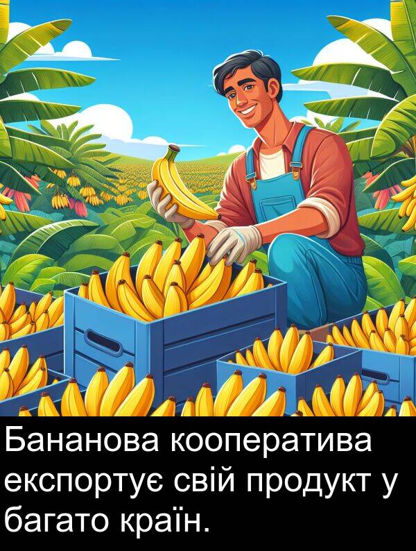 свій: Бананова кооператива експортує свій продукт у багато країн.