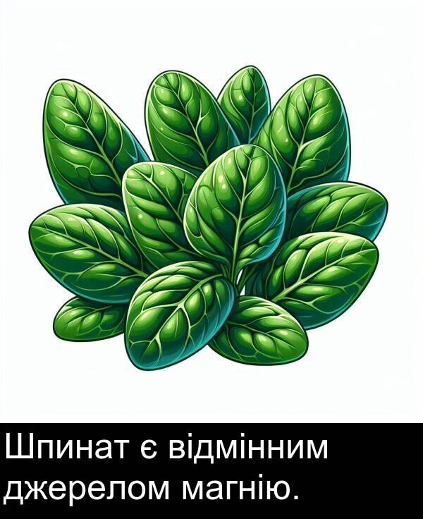 джерелом: Шпинат є відмінним джерелом магнію.