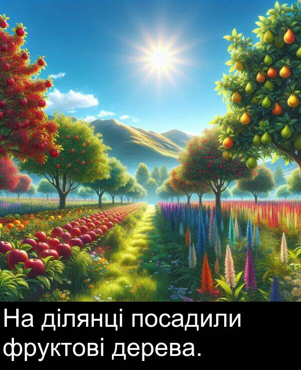 дерева: На ділянці посадили фруктові дерева.