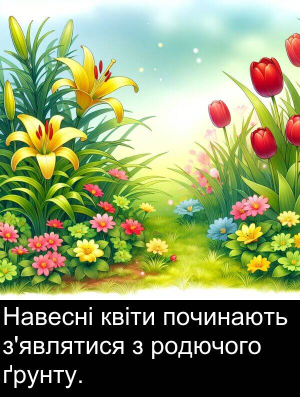 квіти: Навесні квіти починають з'являтися з родючого ґрунту.