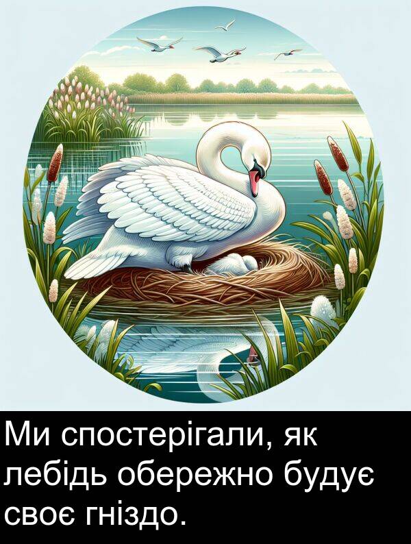 своє: Ми спостерігали, як лебідь обережно будує своє гніздо.