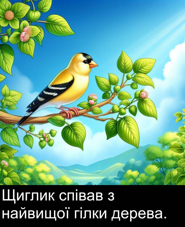 гілки: Щиглик співав з найвищої гілки дерева.
