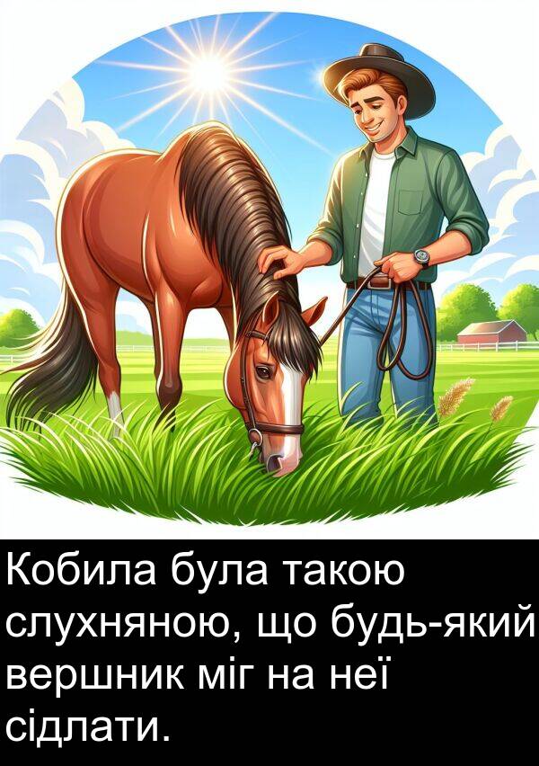 сідлати: Кобила була такою слухняною, що будь-який вершник міг на неї сідлати.