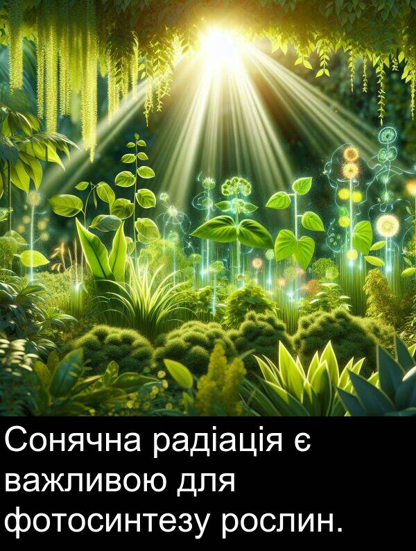 радіація: Сонячна радіація є важливою для фотосинтезу рослин.