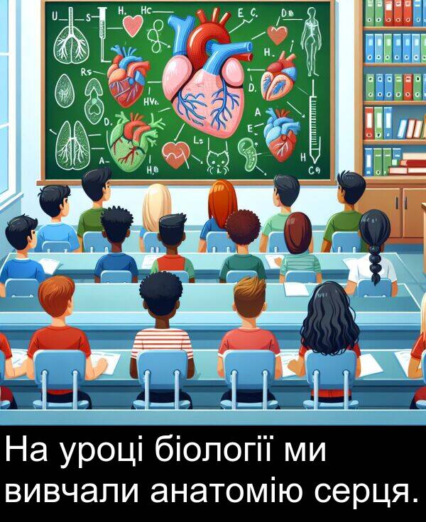 уроці: На уроці біології ми вивчали анатомію серця.