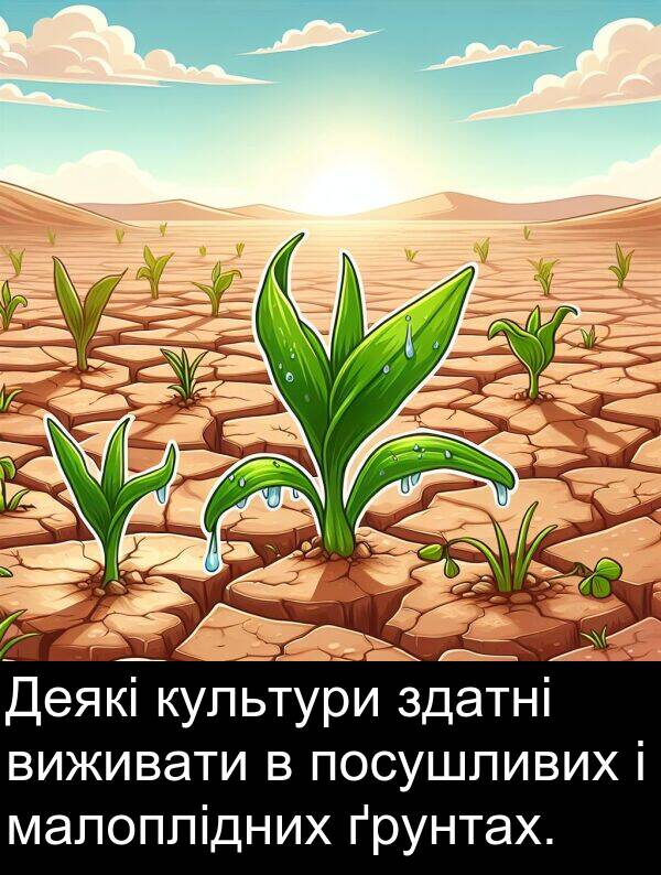 ґрунтах: Деякі культури здатні виживати в посушливих і малоплідних ґрунтах.