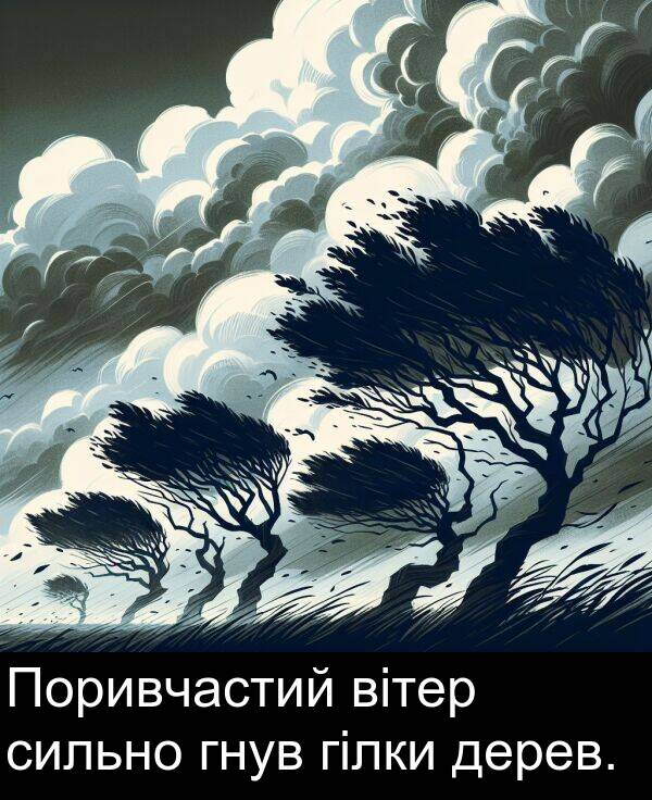 вітер: Поривчастий вітер сильно гнув гілки дерев.