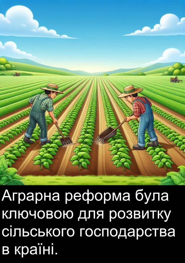 сільського: Аграрна реформа була ключовою для розвитку сільського господарства в країні.