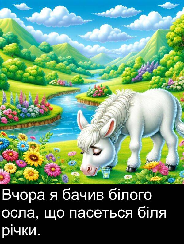 бачив: Вчора я бачив білого осла, що пасеться біля річки.