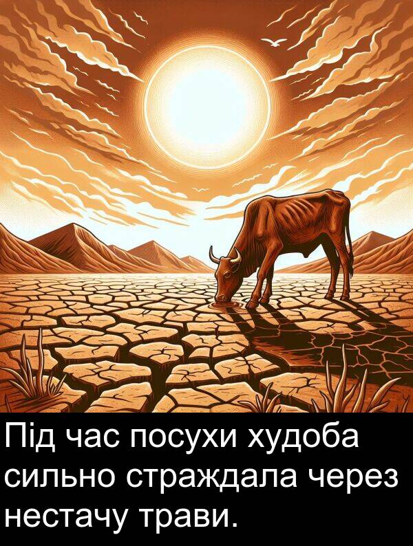 сильно: Під час посухи худоба сильно страждала через нестачу трави.