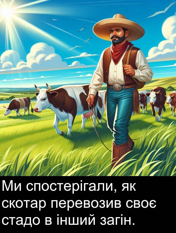 своє: Ми спостерігали, як скотар перевозив своє стадо в інший загін.