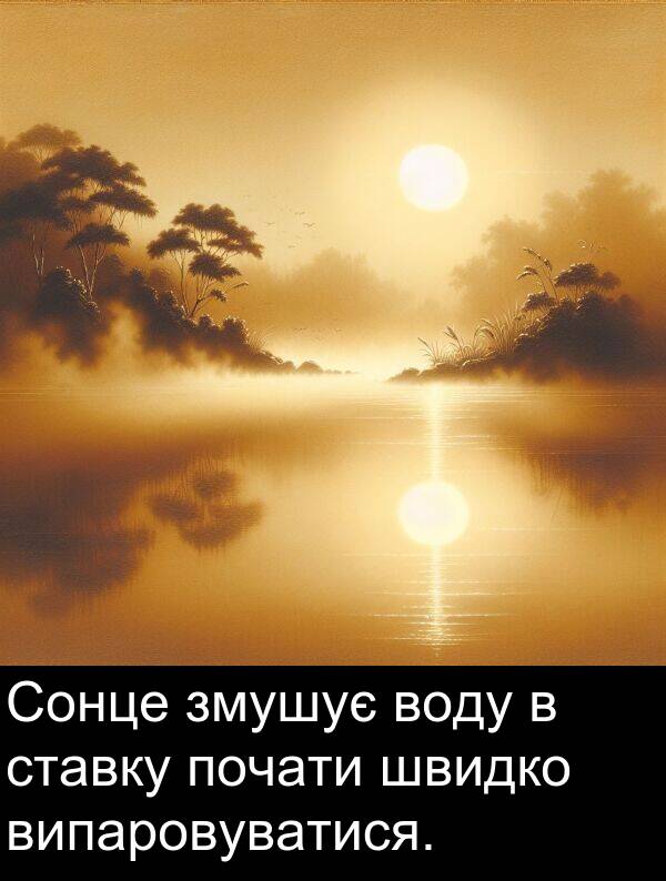 змушує: Сонце змушує воду в ставку почати швидко випаровуватися.