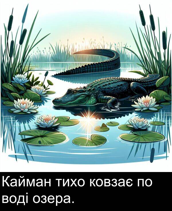 озера: Кайман тихо ковзає по воді озера.