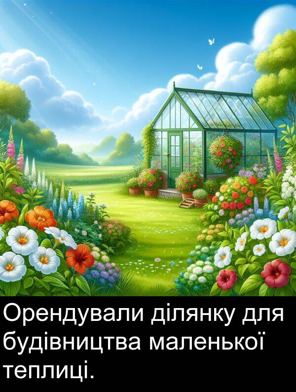 теплиці: Орендували ділянку для будівництва маленької теплиці.