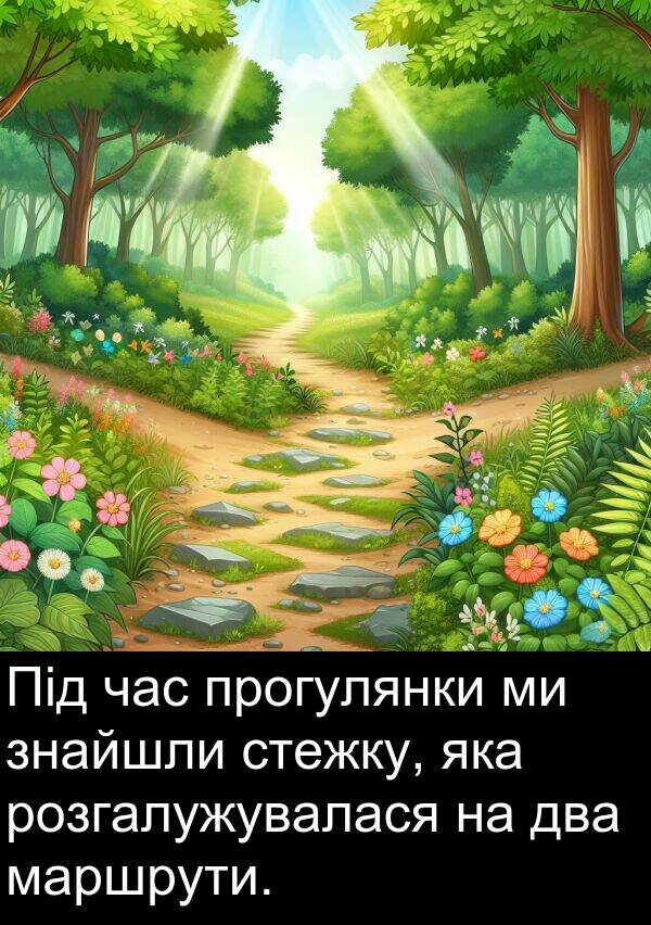 два: Під час прогулянки ми знайшли стежку, яка розгалужувалася на два маршрути.