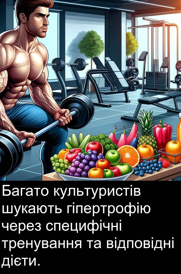 дієти: Багато культуристів шукають гіпертрофію через специфічні тренування та відповідні дієти.