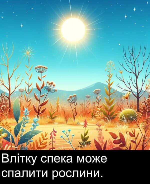 рослини: Влітку спека може спалити рослини.