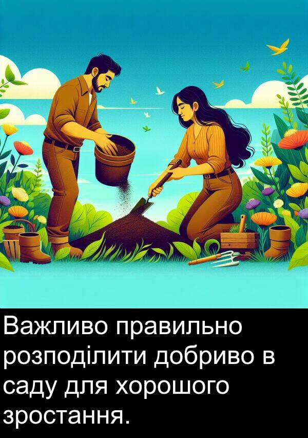саду: Важливо правильно розподілити добриво в саду для хорошого зростання.