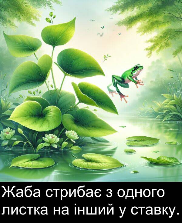 одного: Жаба стрибає з одного листка на інший у ставку.