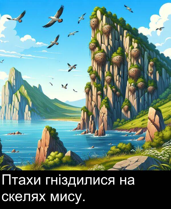 гніздилися: Птахи гніздилися на скелях мису.