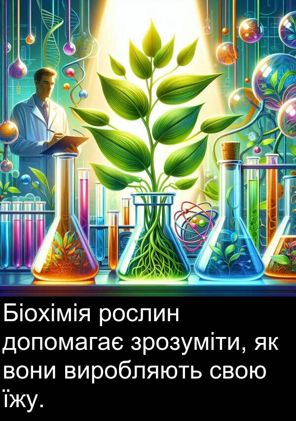 їжу: Біохімія рослин допомагає зрозуміти, як вони виробляють свою їжу.